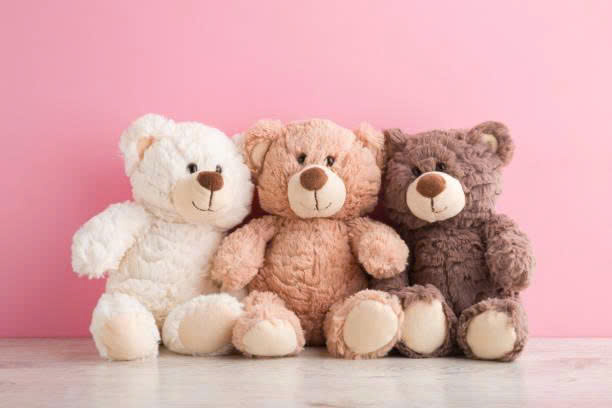 gấu bông dễ thương món quà hoàn hảo cho mọi dịp