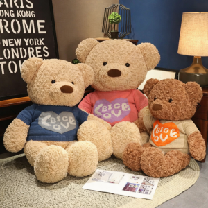 Teddy Lông Xoắn Áo Big Love